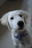 DSC00537.jpg
