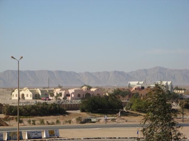 img_0236.jpg