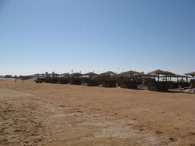 img_0334.jpg