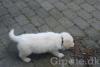 dsc00502_t1.jpg