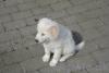 dsc00508_t1.jpg