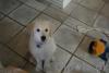 dsc00529_t1.jpg