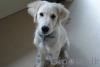 dsc00536_t1.jpg