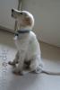 dsc00539_t1.jpg