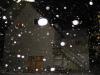 img_6415_t1.jpg