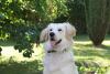 img_0030-small_t1.jpg